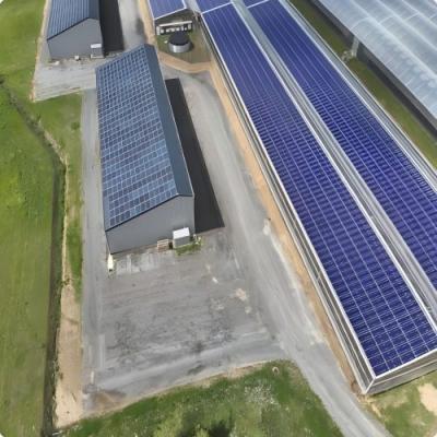 Solar Panels for Farm